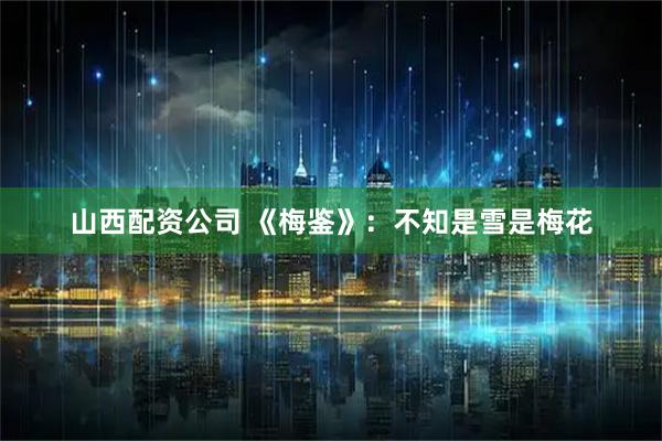山西配资公司 《梅鉴》：不知是雪是梅花